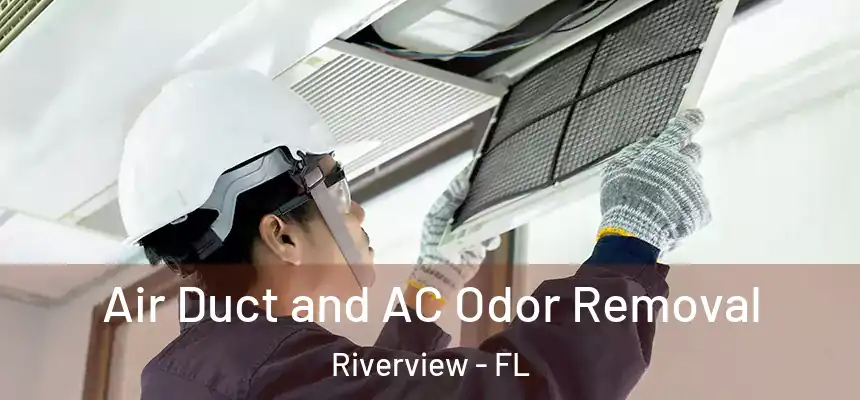 Air Duct and AC Odor Removal Riverview - FL