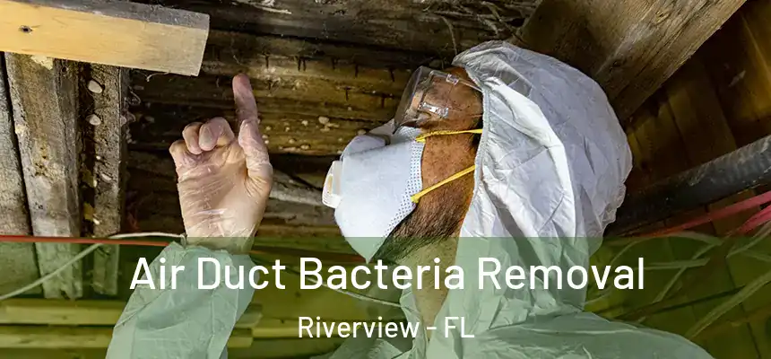 Air Duct Bacteria Removal Riverview - FL