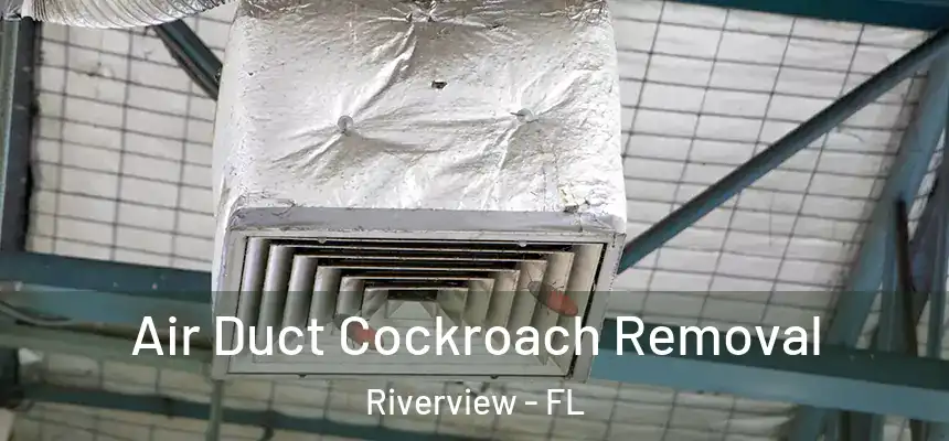 Air Duct Cockroach Removal Riverview - FL