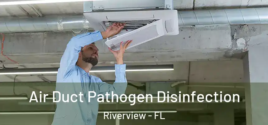 Air Duct Pathogen Disinfection Riverview - FL