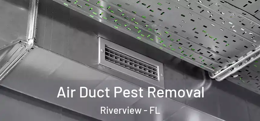 Air Duct Pest Removal Riverview - FL