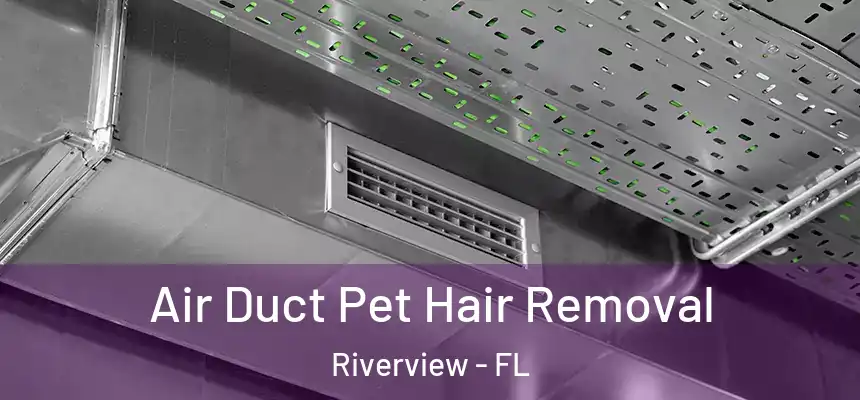 Air Duct Pet Hair Removal Riverview - FL