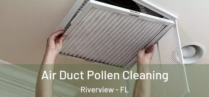 Air Duct Pollen Cleaning Riverview - FL