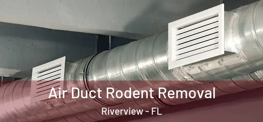 Air Duct Rodent Removal Riverview - FL