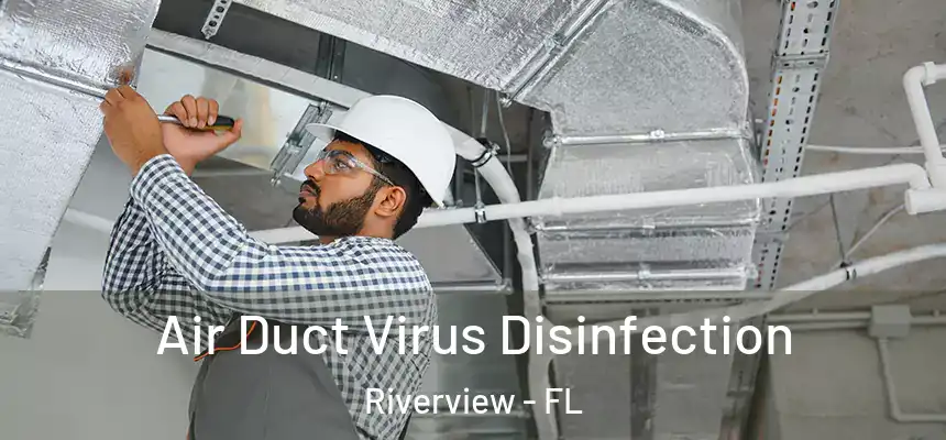 Air Duct Virus Disinfection Riverview - FL
