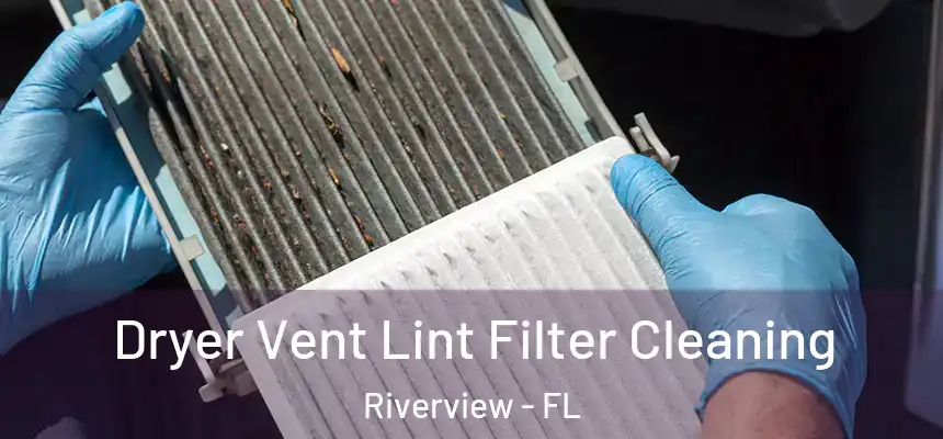 Dryer Vent Lint Filter Cleaning Riverview - FL