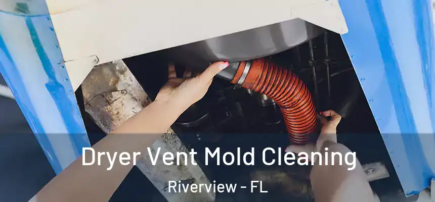 Dryer Vent Mold Cleaning Riverview - FL