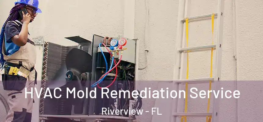 HVAC Mold Remediation Service Riverview - FL