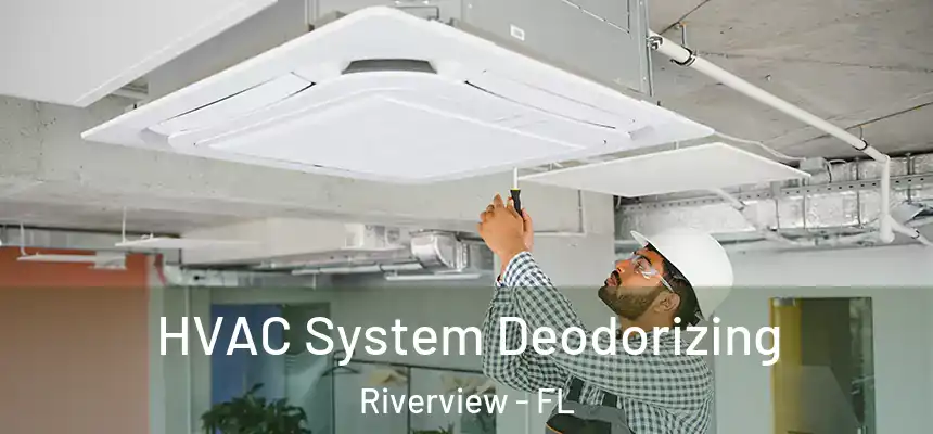 HVAC System Deodorizing Riverview - FL