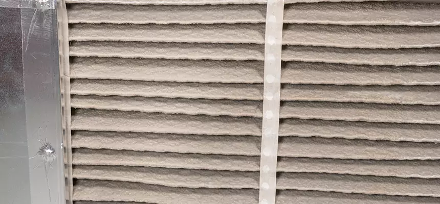 Mobile Car AC Filter Replacement in Riverview