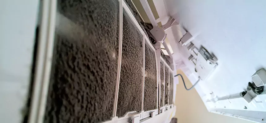 Preventive Air Duct Bacteria Removal in Riverview