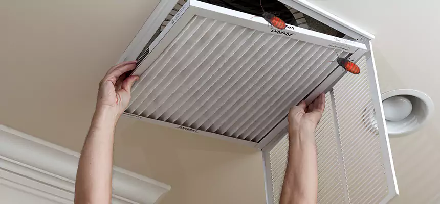 Preventive Cockroach-Proofing for Ducts in Riverview