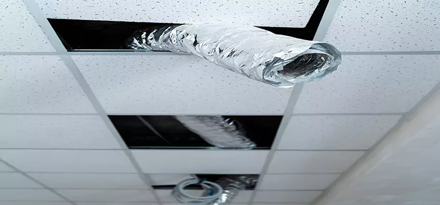 Affordable HVAC Sanitizing After Pest Removal in Riverview