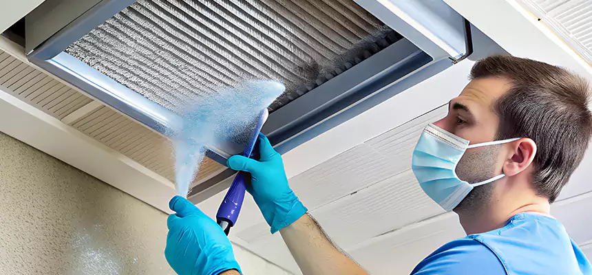 Proactive Dryer Vent & Auxiliary Duct Pollen Cleanup in Riverview, FL