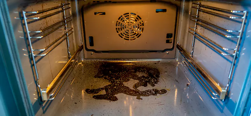 Our Dryer Vent Mold Cleaning Services in Riverview, FL