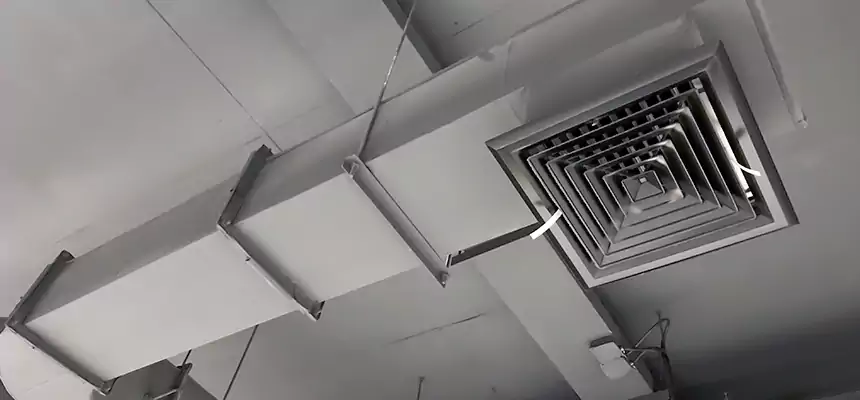 Our Pest Removal From Ducts Services in Riverview, FL