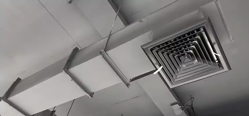 Our Rodent Droppings In Vents Services in Riverview, FL