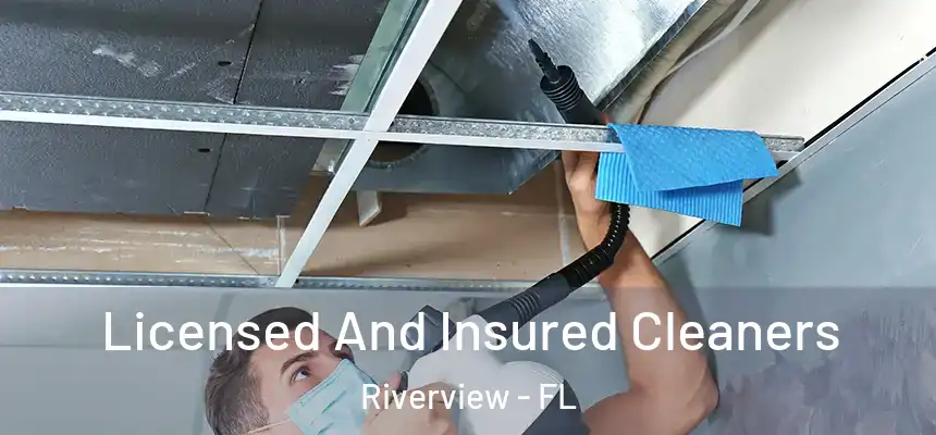 Licensed And Insured Cleaners Riverview - FL