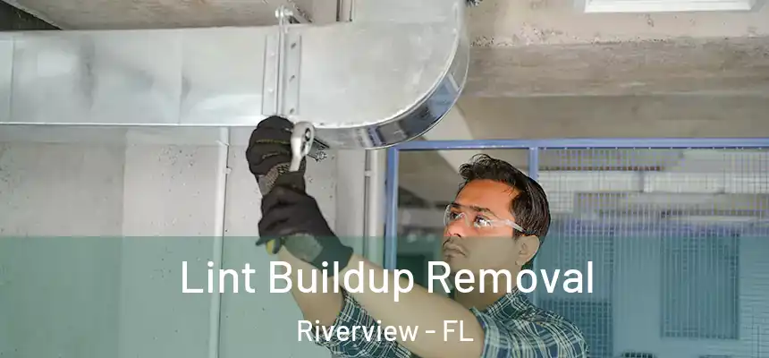 Lint Buildup Removal Riverview - FL