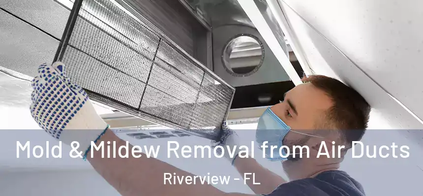 Mold & Mildew Removal from Air Ducts Riverview - FL