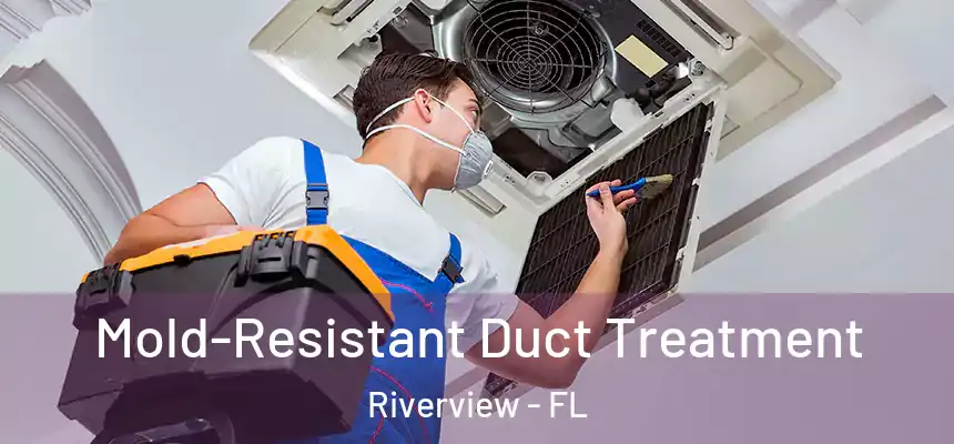 Mold-Resistant Duct Treatment Riverview - FL
