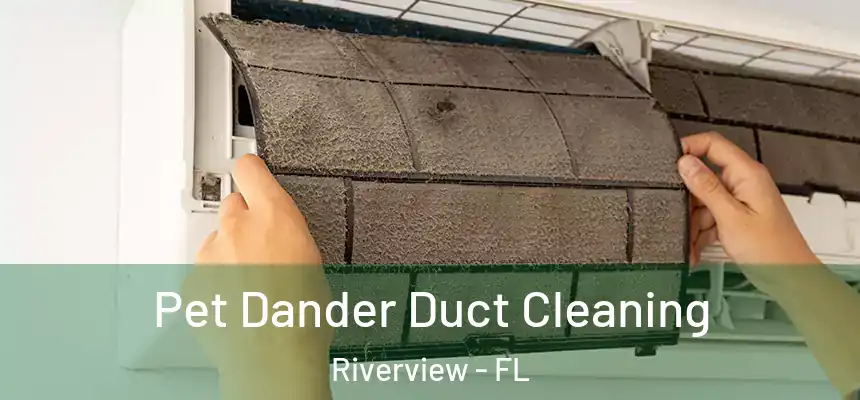 Pet Dander Duct Cleaning Riverview - FL