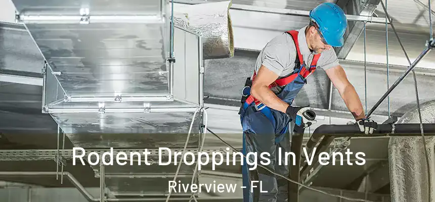 Rodent Droppings In Vents Riverview - FL