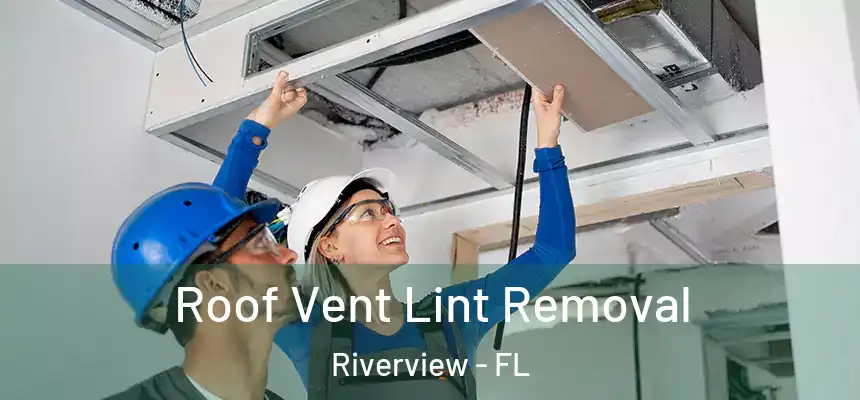 Roof Vent Lint Removal Riverview - FL