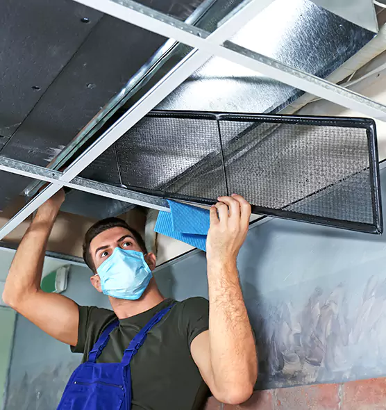 About Air Duct Bacteria Removal in Riverview