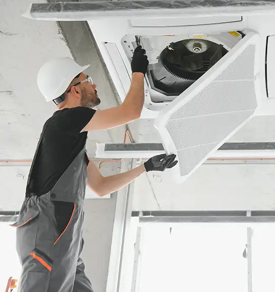 About Air Duct Rodent Removal in Riverview, FL