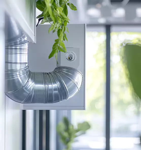 Professional Eco-Safe Dryer Vent Cleaning in Riverview, FL