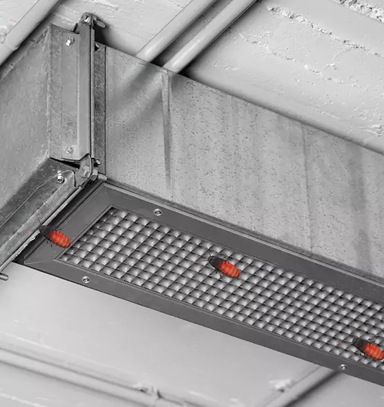 Affordable Insect Removal from Air Ducts in Riverview, FL