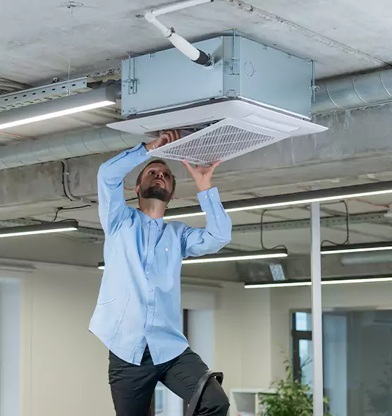 Advanced Rodent Droppings In Vents in Riverview, FL