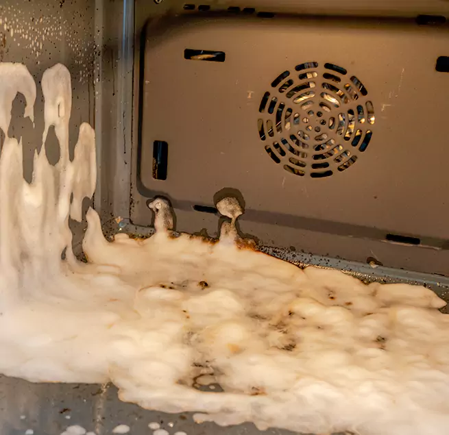 Why Homeowners & Businesses Trust Us in Riverview, FL?