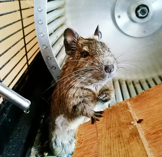 Why Homeowners & Businesses Trust Us Riverview, FL