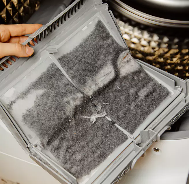 Why Homeowners & Businesses Trust Us Riverview, FL?