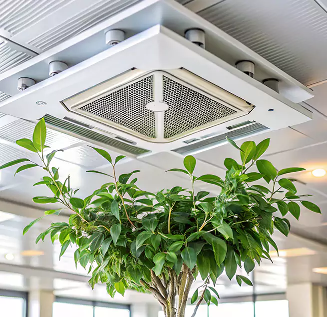 Why Homeowners & Businesses Trust Us in Riverview, FL