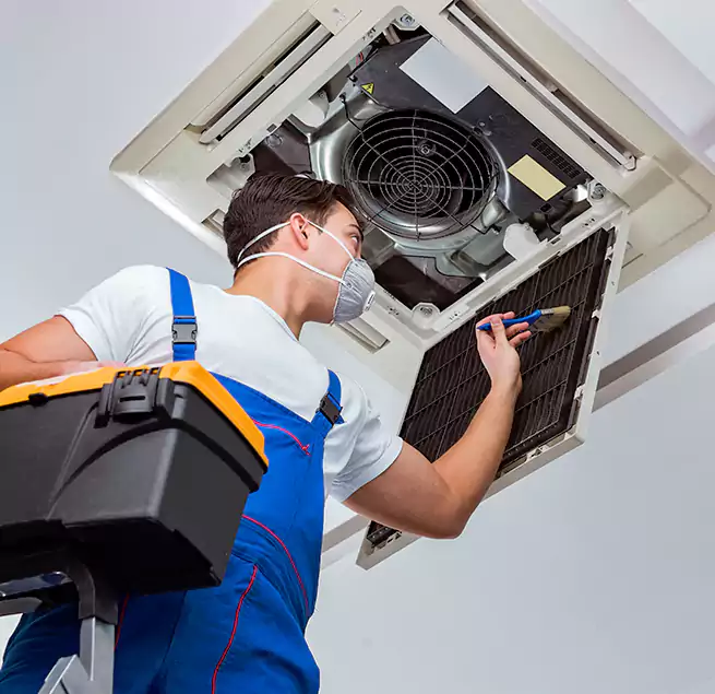 Why Homeowners & Businesses Trust Us in Riverview, FL?