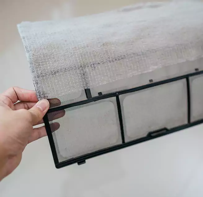 Why Homeowners & Businesses Trust Us in Riverview, FL?