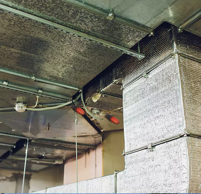 Why Homeowners & Businesses Trust Us Riverview, FL?