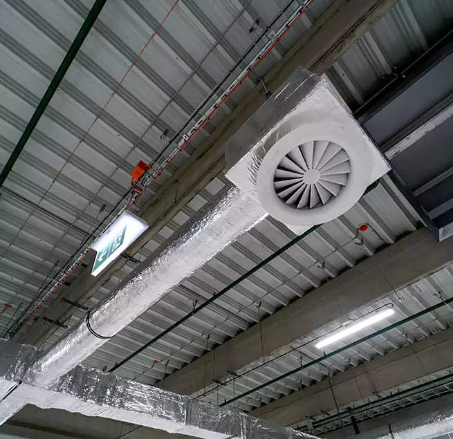 Why Homeowners & Businesses Trust Us in Riverview, FL?