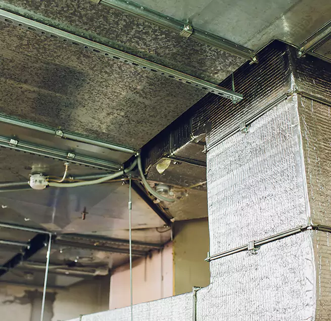 Why Homeowners & Businesses Trust Us in Riverview, FL?