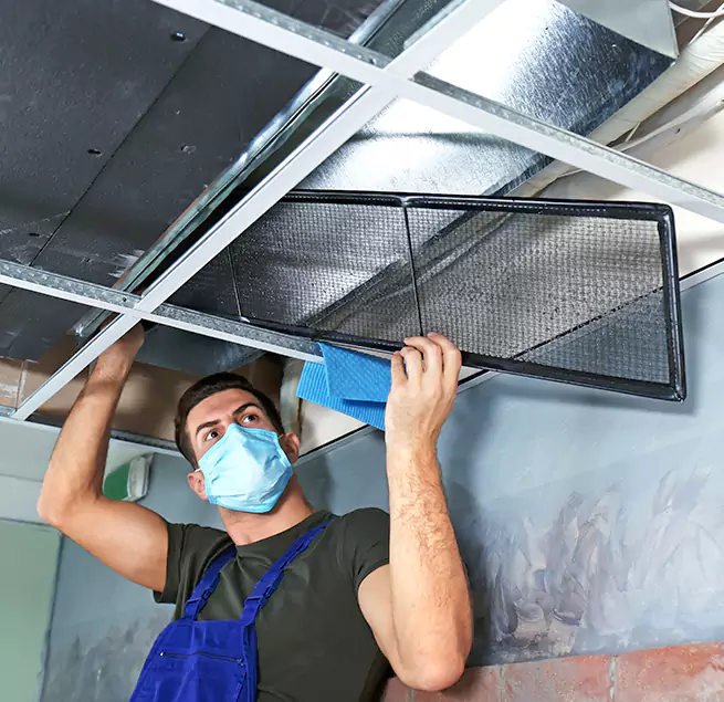 Why Homeowners Businesses Trust Us  in Riverview, FL?